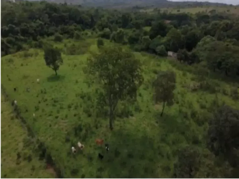 Imóvel rural em leilão