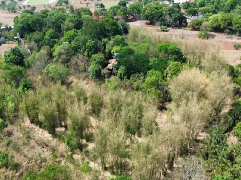 Imóvel rural em leilão