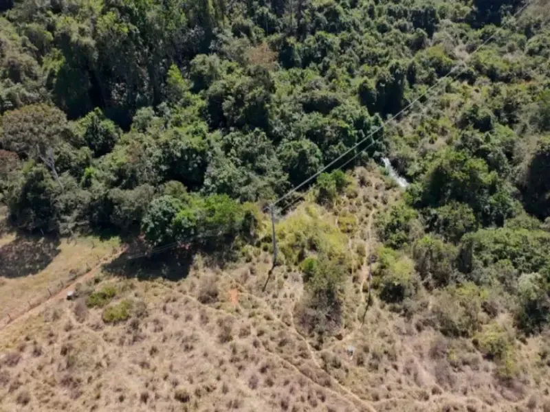 Imóvel rural em leilão