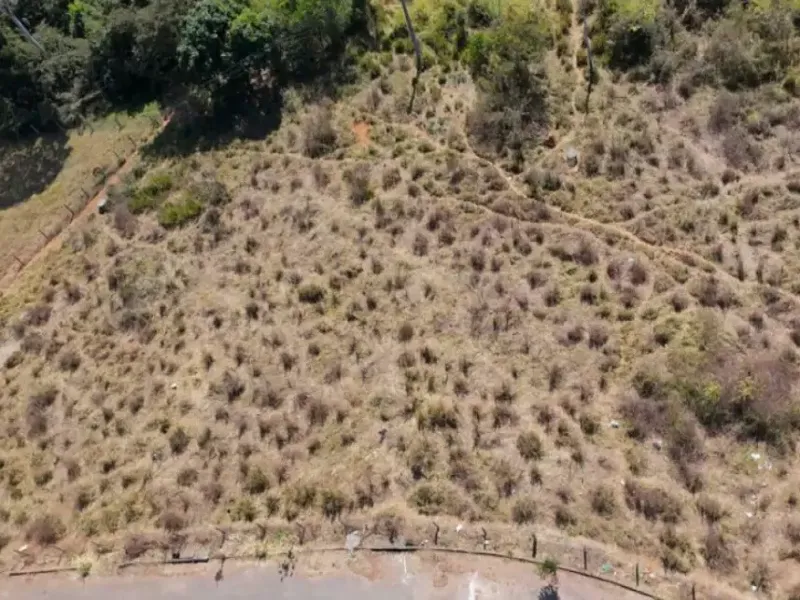 Imóvel rural em leilão