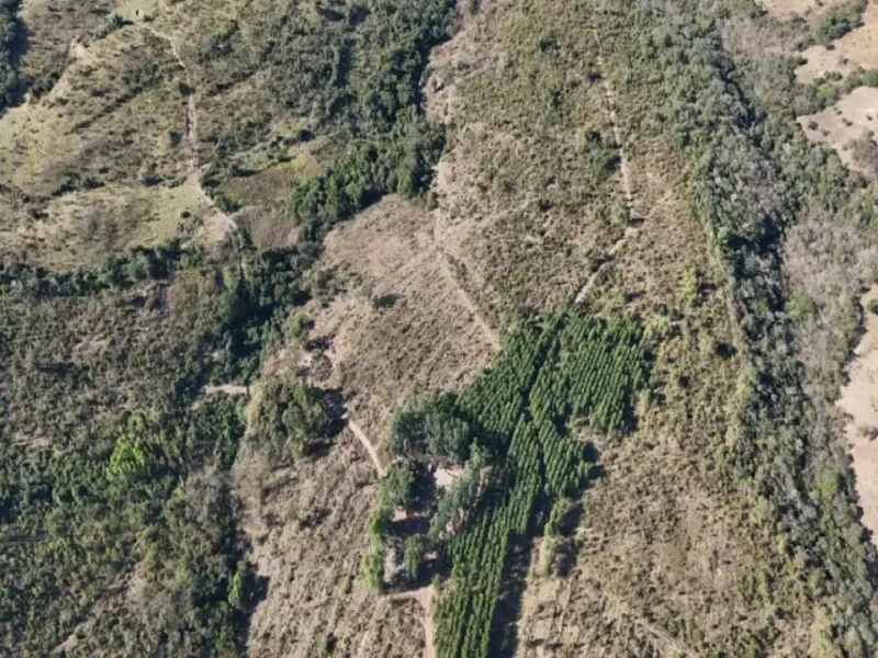 Imóvel rural em leilão