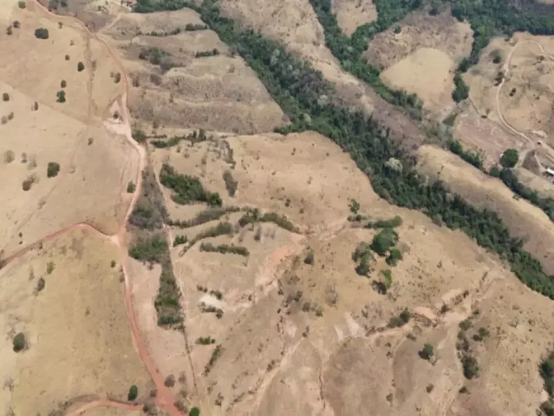 Imóvel rural em leilão