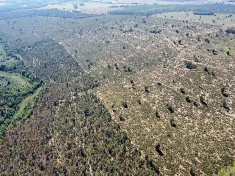 Imóvel rural em leilão