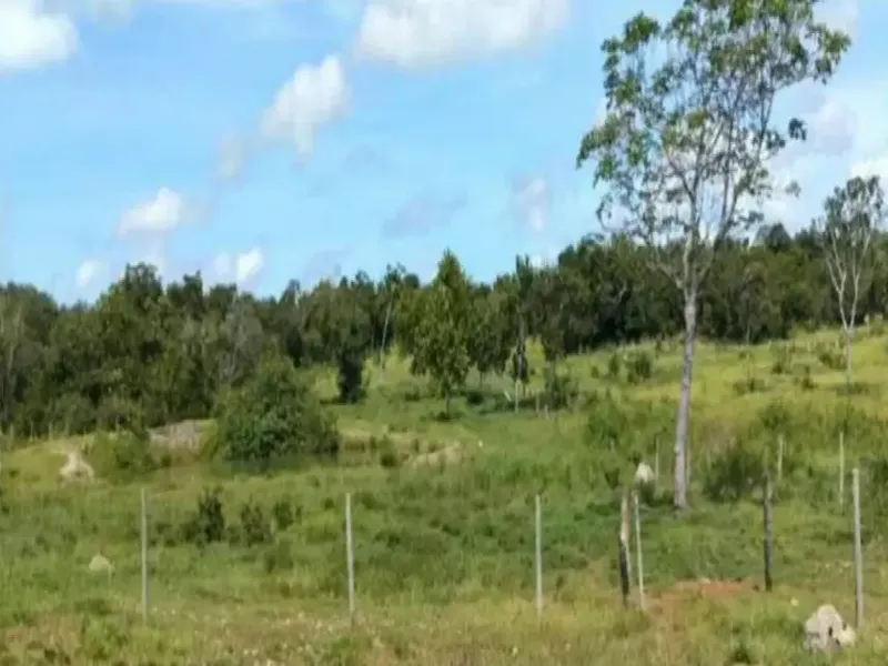Imóvel rural em leilão