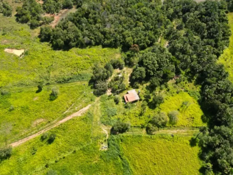 Imóvel rural em leilão