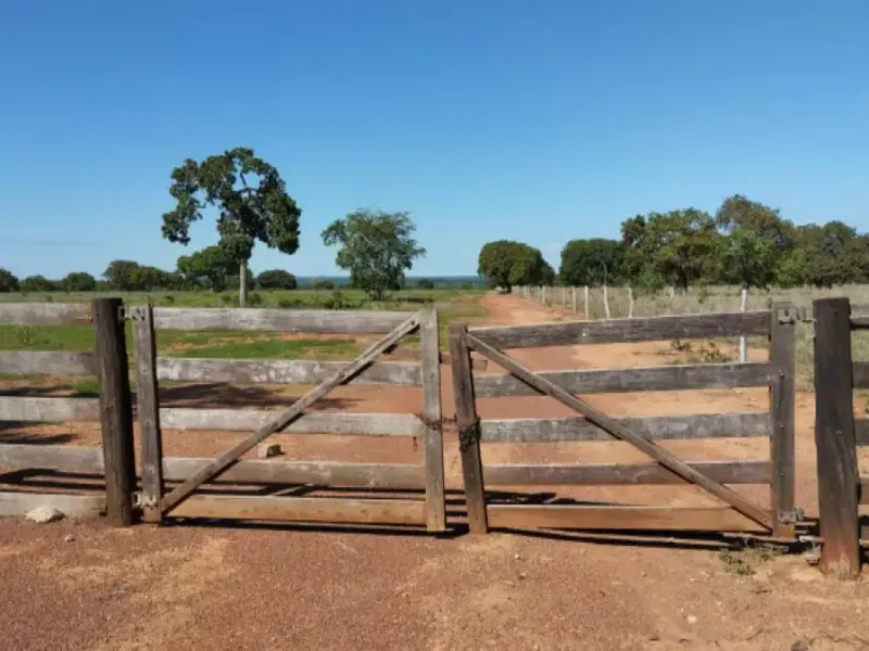 Imóvel rural em leilão