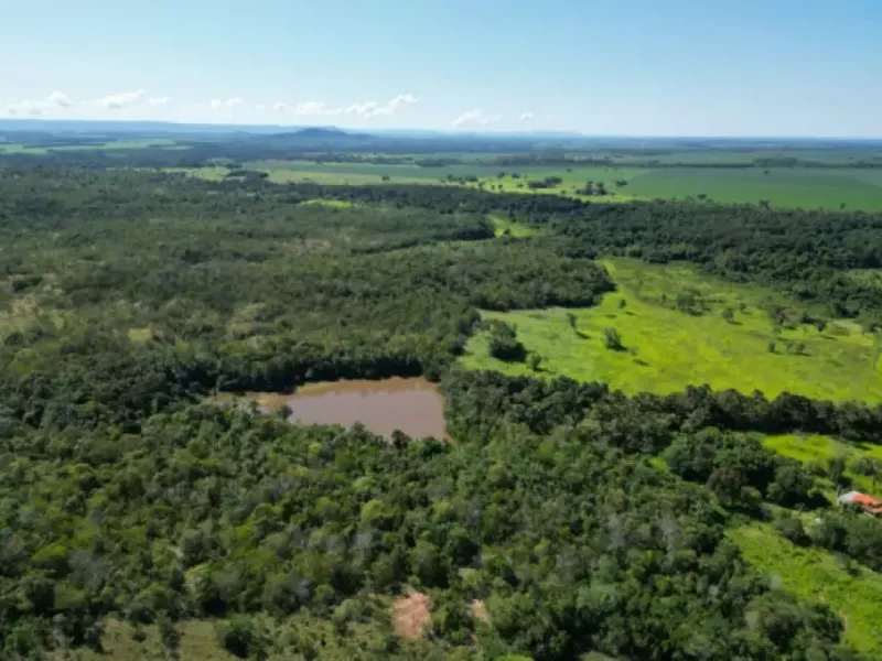 Imóvel rural em leilão