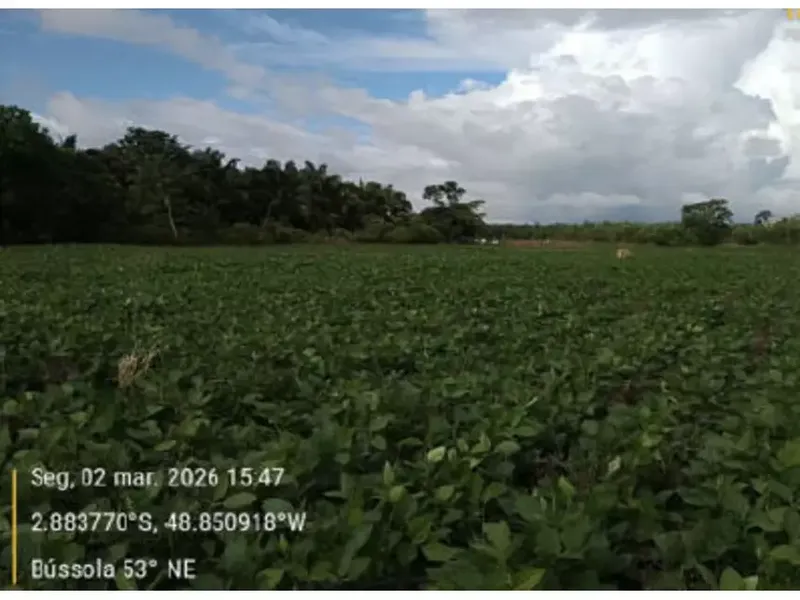Imóvel rural em leilão