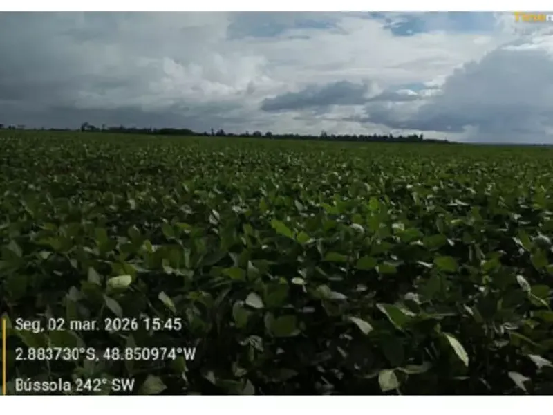 Imóvel rural em leilão