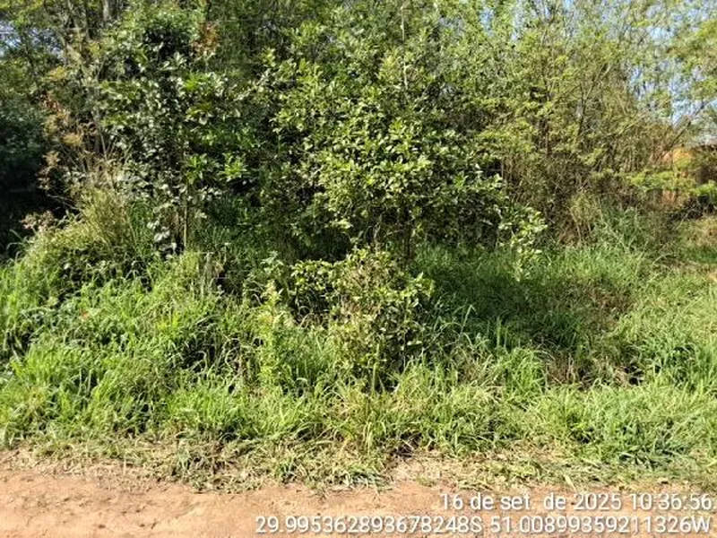 Terreno em Licitação