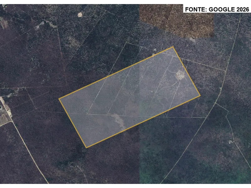 Imóvel rural em leilão