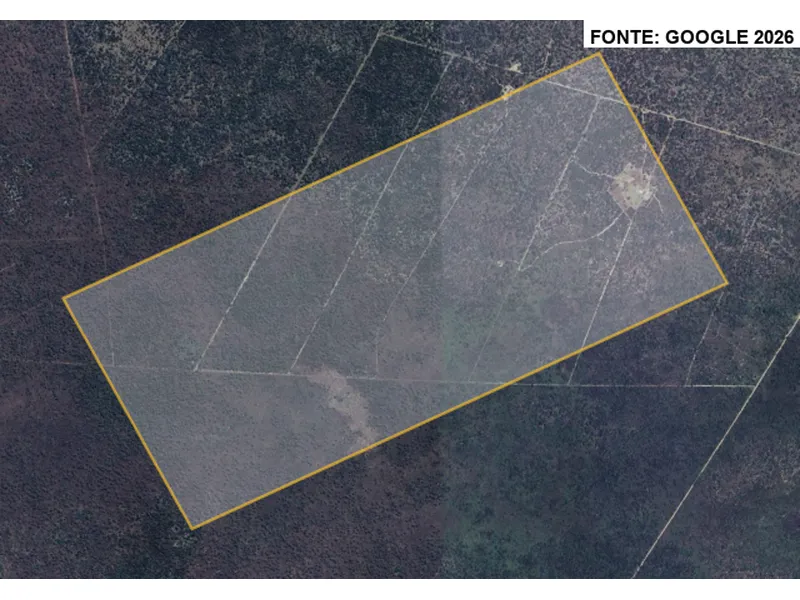 Imóvel rural em leilão