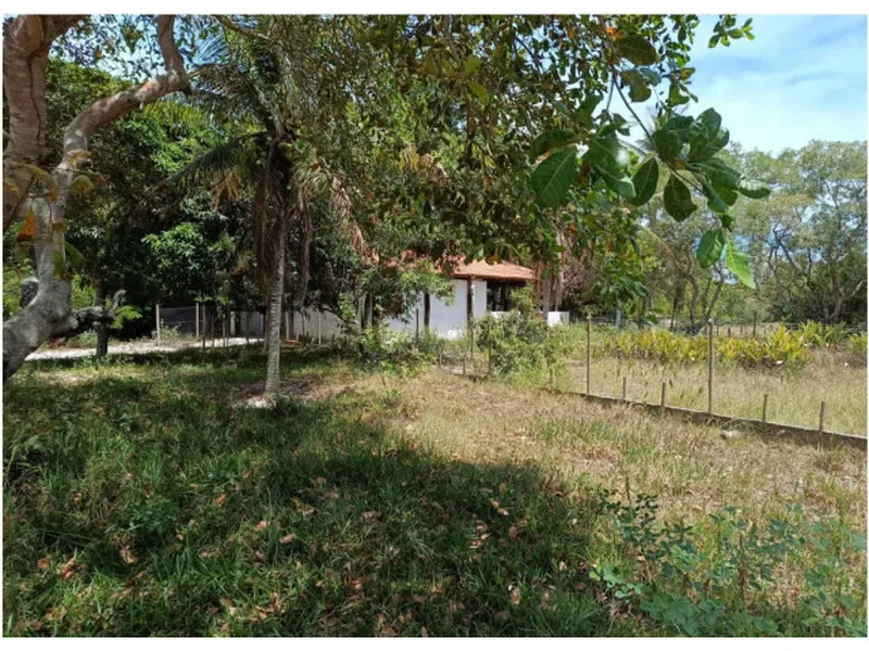 Imóvel rural em leilão