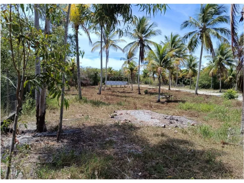 Imóvel rural em leilão