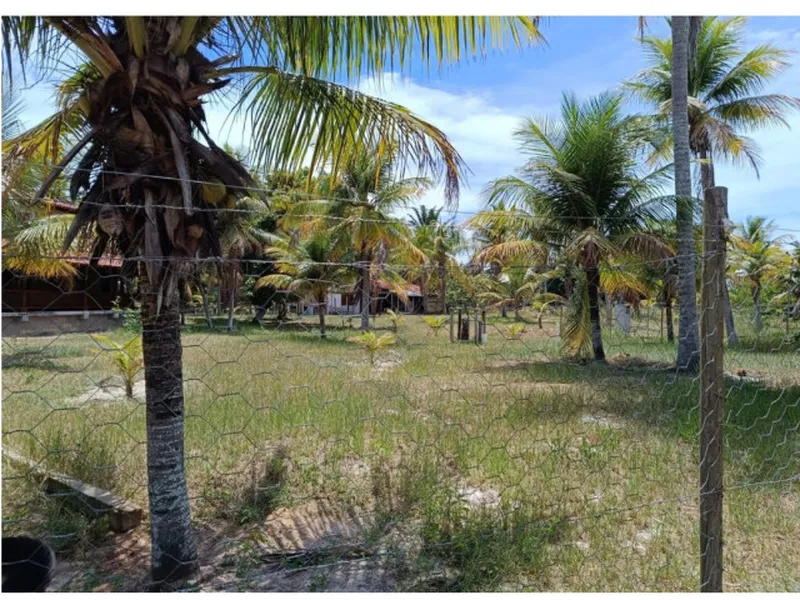 Imóvel rural em leilão