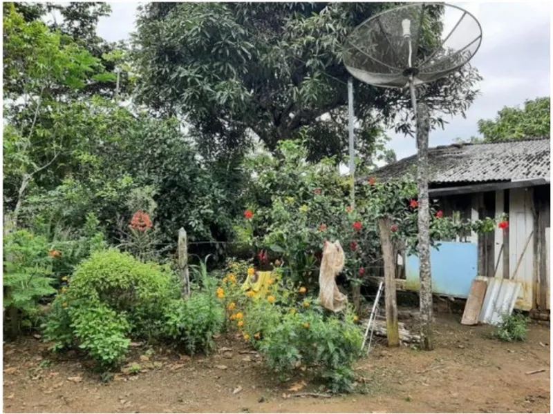 Imóvel rural em leilão