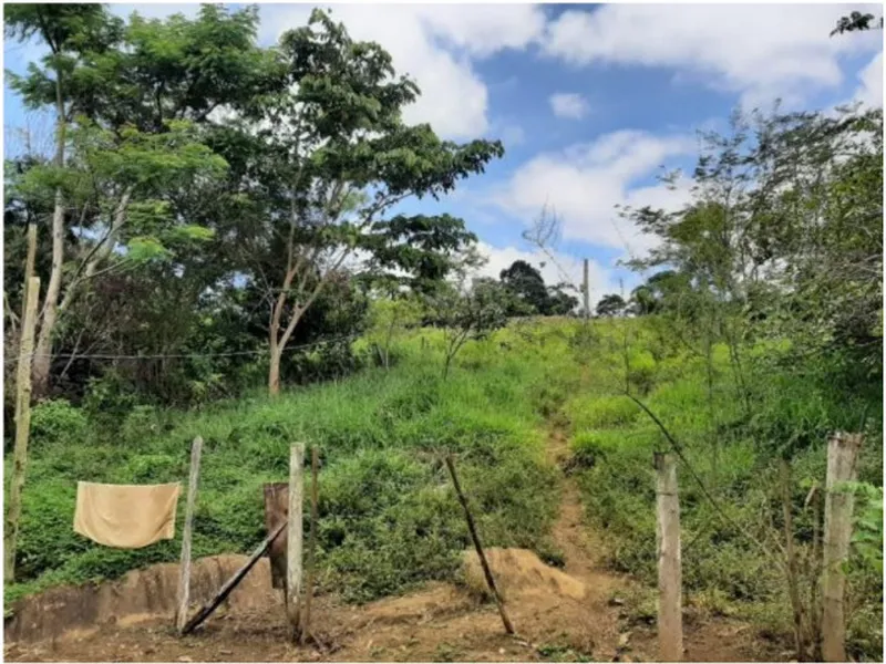 Imóvel rural em leilão