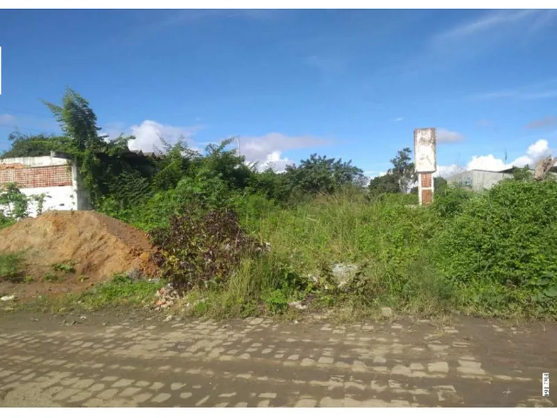 Comercial em leilão