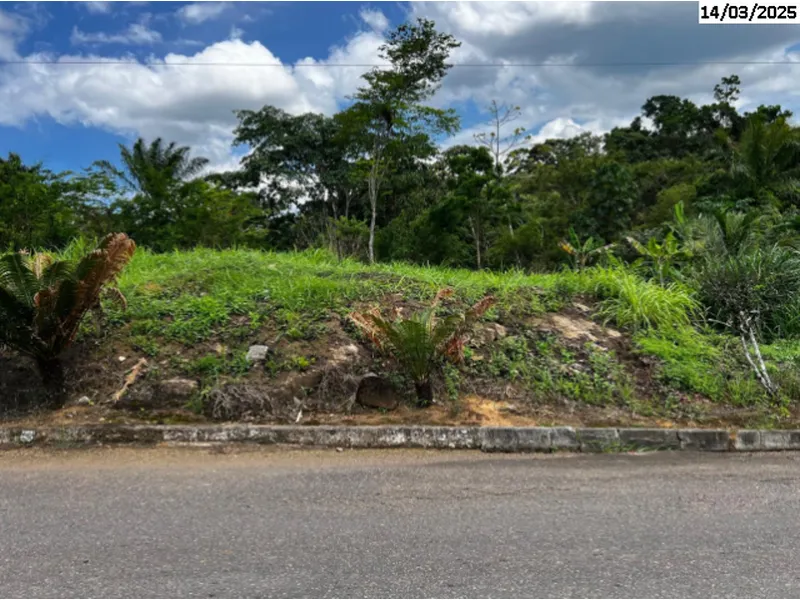 Imóvel rural em leilão