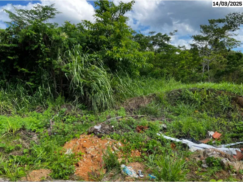 Imóvel rural em leilão
