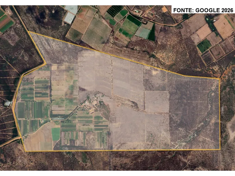 Imóvel rural em leilão