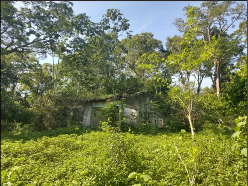 Imóvel rural em leilão