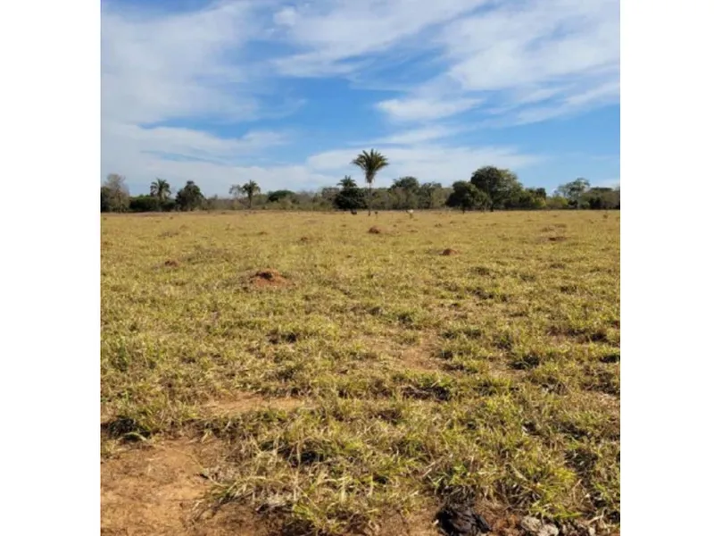 Imóvel rural em leilão