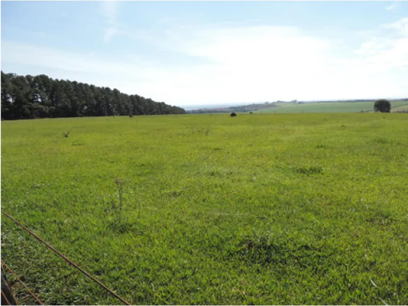 Imóvel rural em leilão