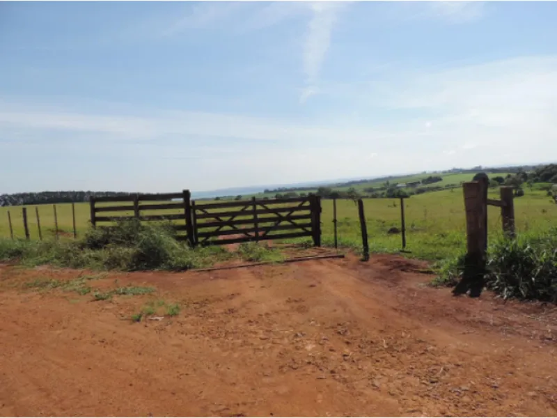 Imóvel rural em leilão