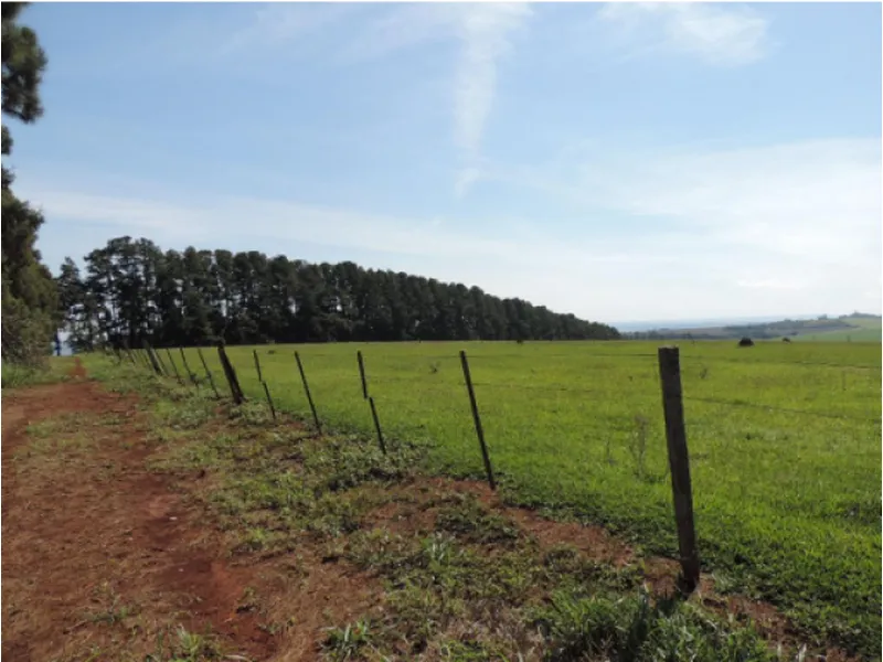 Imóvel rural em leilão