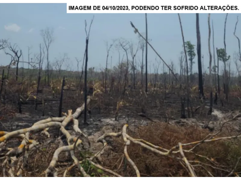Imóvel rural em leilão