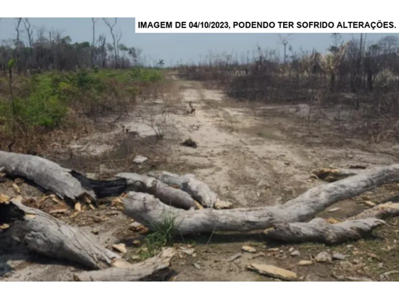 Imóvel rural em leilão