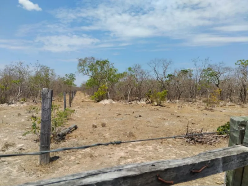 Imóvel rural em leilão