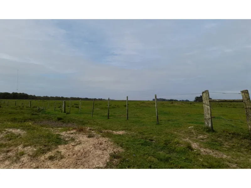 Imóvel rural em leilão