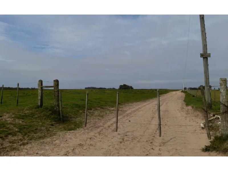 Imóvel rural em leilão