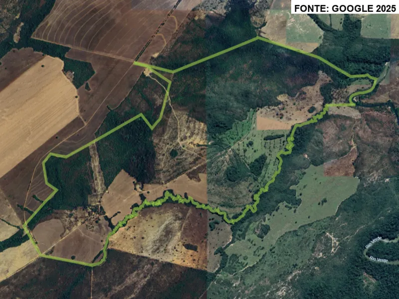 Imóvel rural em leilão