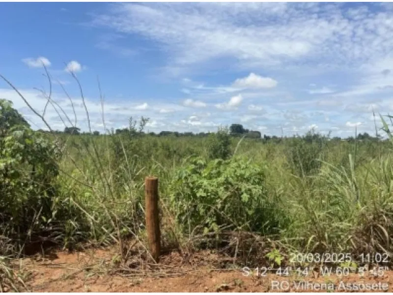 Imóvel rural em Leilão Judicial