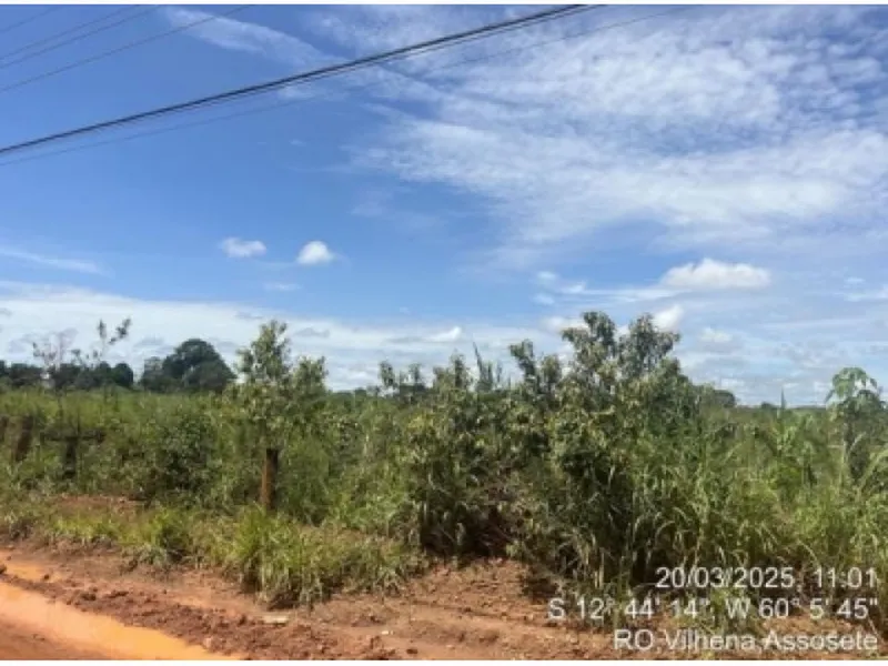 Imóvel rural em leilão