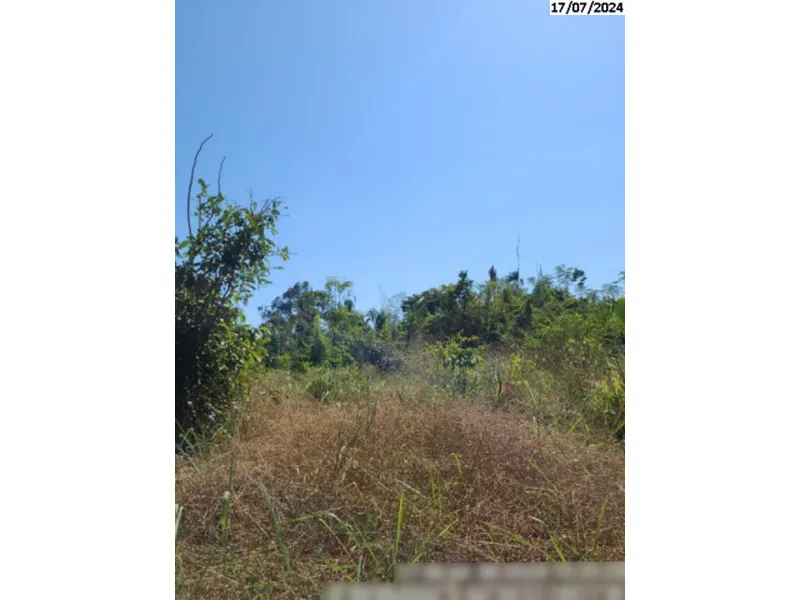 Imóvel rural em leilão