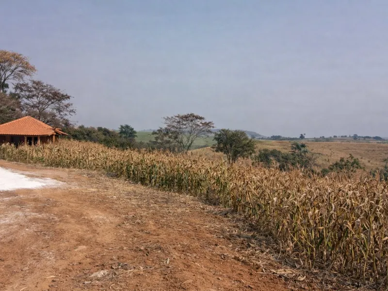 Imóvel rural em leilão