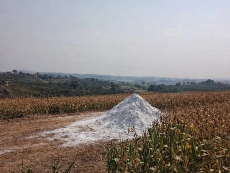 Imóvel rural em leilão