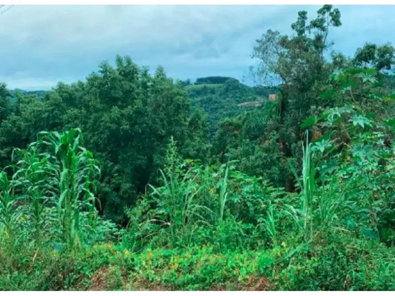 Terreno em Leilão Extrajudicial