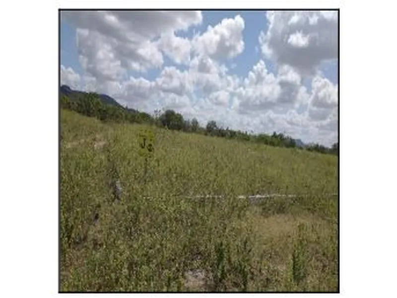 Terreno em Venda Direta