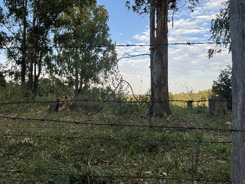Terreno em Licitação
