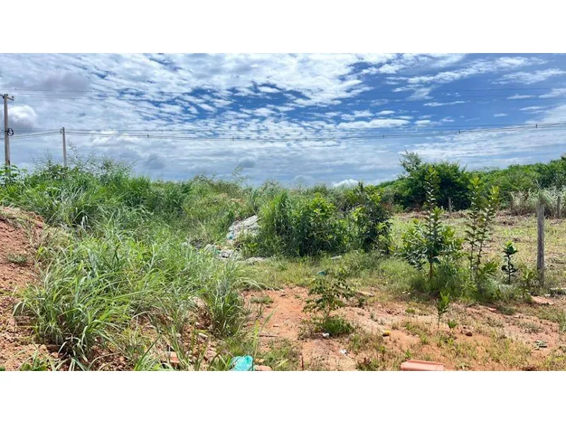 Outros em Leilão Extrajudicial