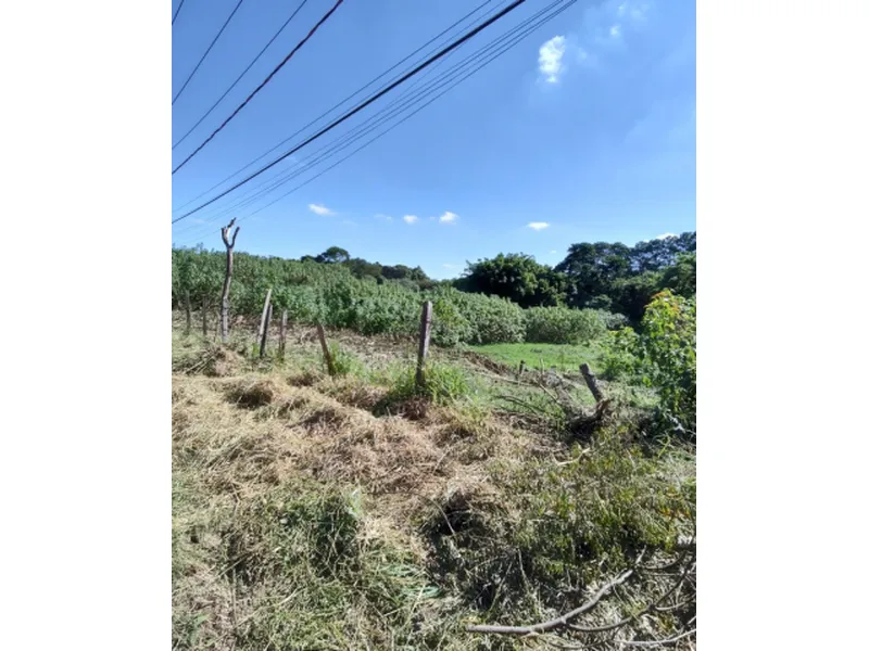 Terreno em Leilão Judicial
