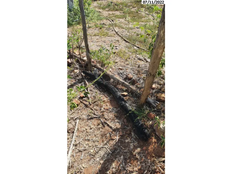 Imóvel rural em leilão