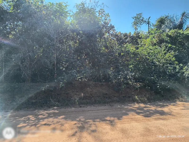 Imóvel rural em leilão