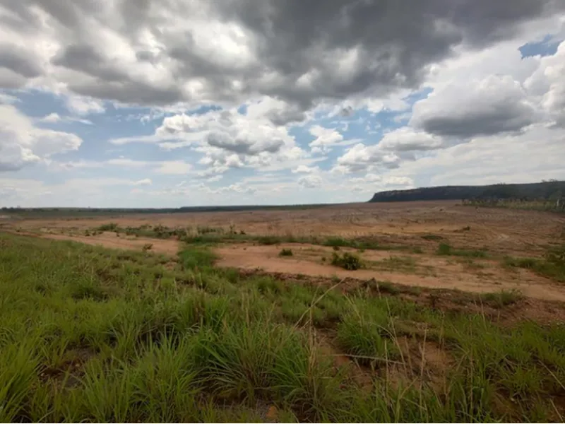 Imóvel rural em Leilão Judicial