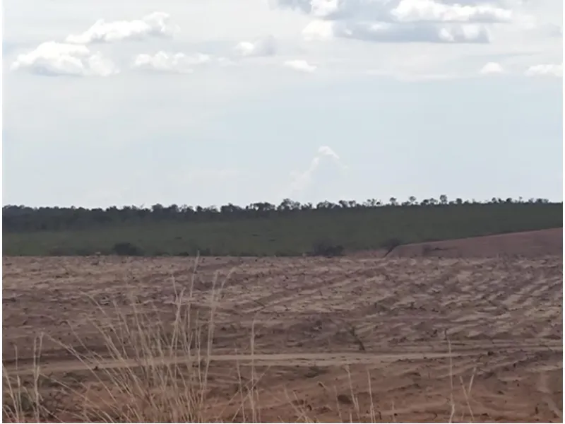 Imóvel rural em leilão